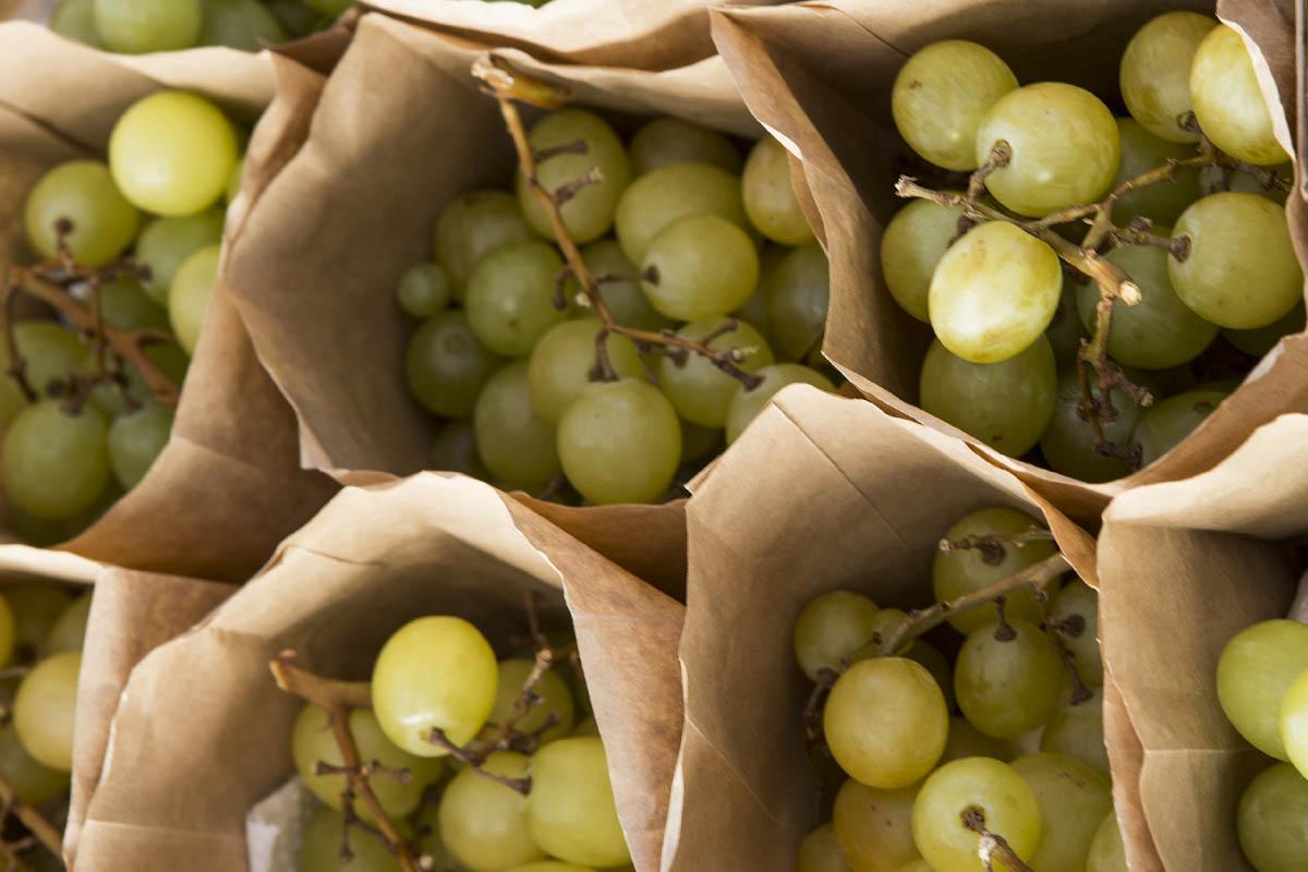 Wedding planner in Greece