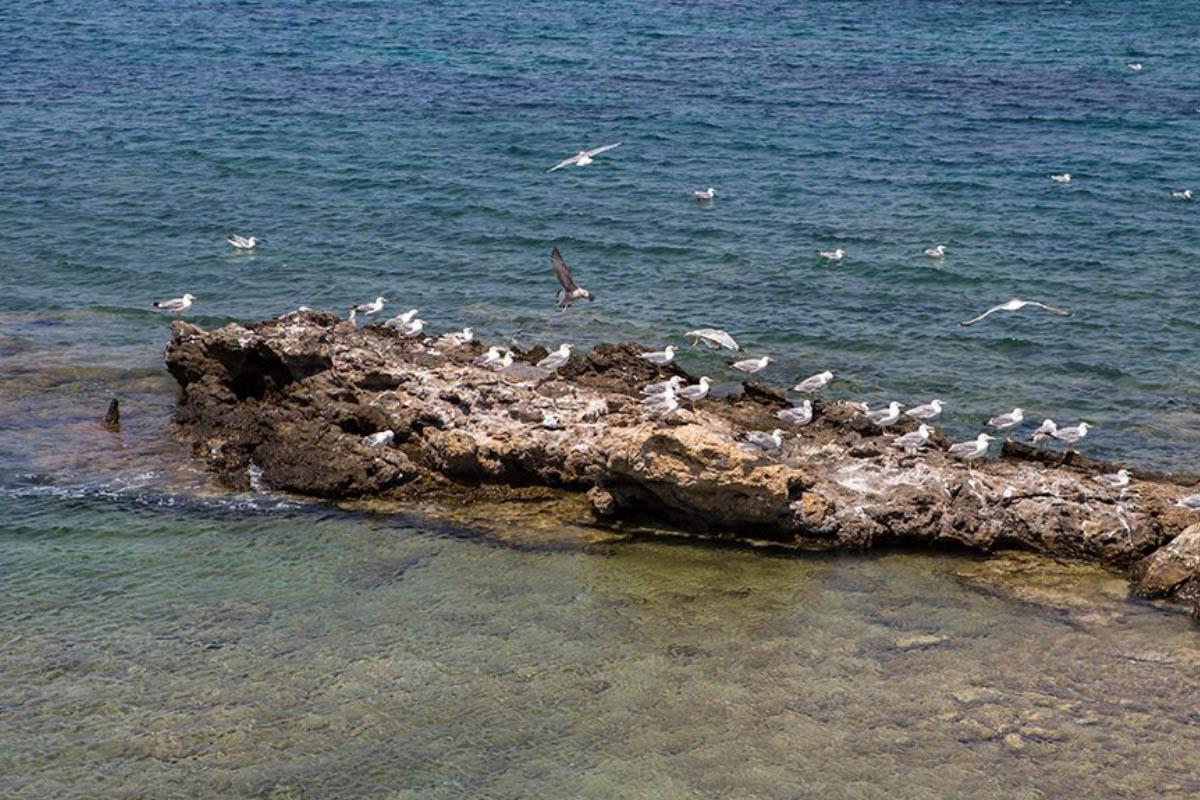 wedding planning Lagonisi Athens Greece